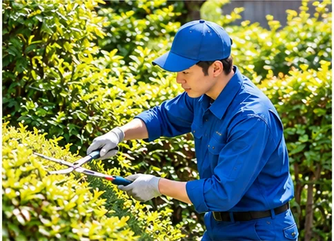 庭の草刈りをするスタッフ